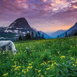 Glacier National Park 4 by Larry Marshall