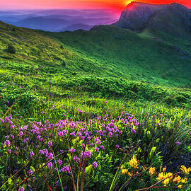 Goat Wall by Evgeni Dinev