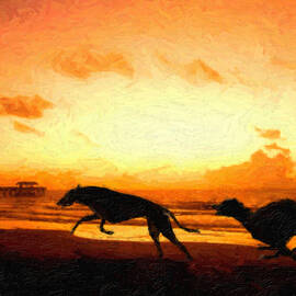 Greyhounds on beach by Michael Tompsett