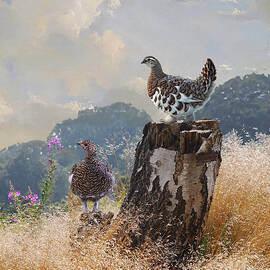 Grouse and Birch Tree Stump