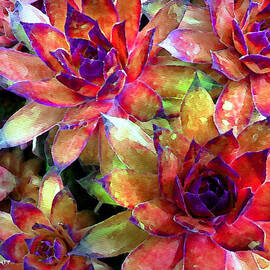 Hens and Chicks series - Garden Brass by Moon Stumpp