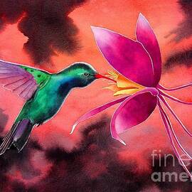 Hummingbird And Columbine by Robert Hooper