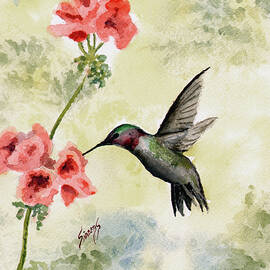 Hummingbird by Sam Sidders