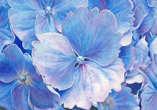 Hydrangea Garden Bloom Wall Art