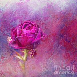 Impressionist Rose by Eva Lechner