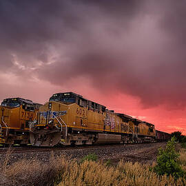 In Waiting by Thomas Zimmerman