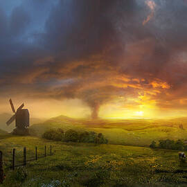 Infinite Oz by Philip Straub