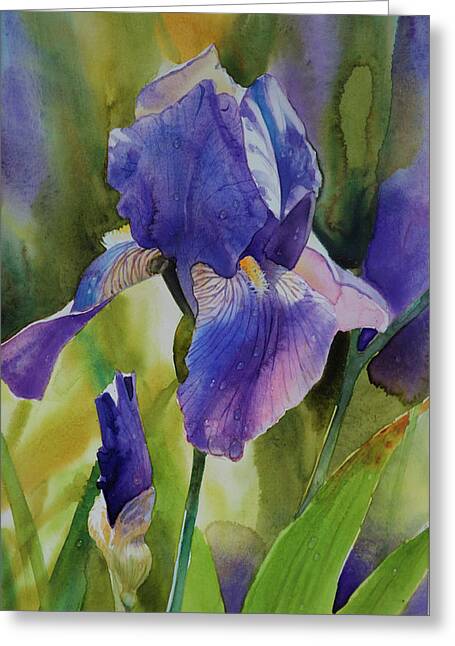 Shop for Flower Greeting Cards