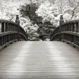 Japanese Dream Infrared by Adam Romanowicz