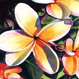 Kauai Rainbow Plumeria by Marionette Taboniar