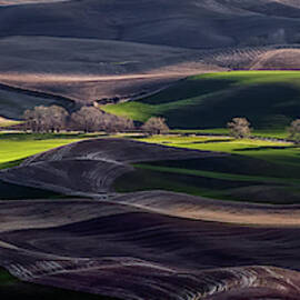 Last Light Of The Day by David H Yang