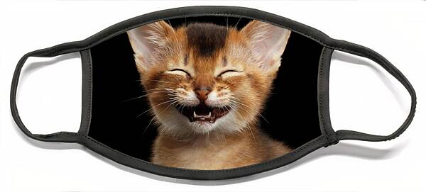 Laughing Abyssinian Kitten Face Mask