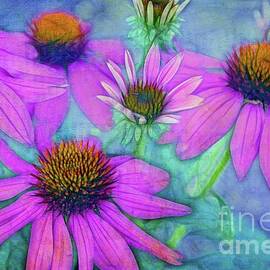 Le Clan des Cinq by Variance Collections