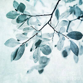 leaves in dusty blue by Priska Wettstein