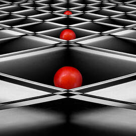 Lined Up by Jacqueline Hammer