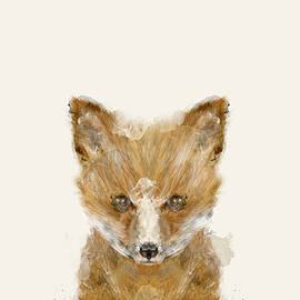 little fox cub by Bri Buckley