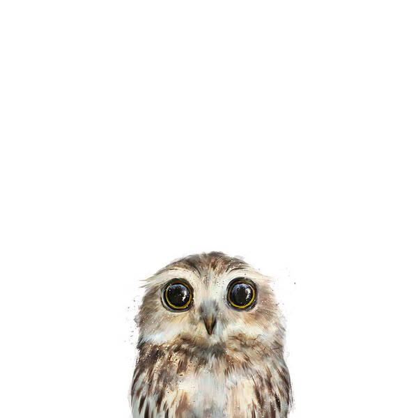 Charming Little Owl Wall Art
