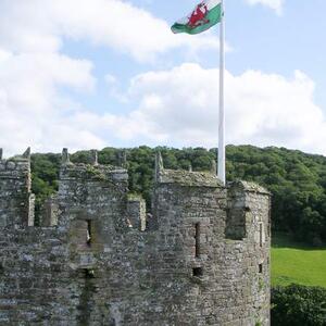 FLYING A FLAG ON CASTLES ONLY Art Competition
