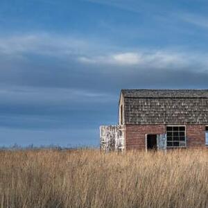 Lone House Art Competition