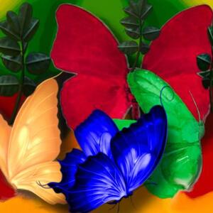 NEW LOGO FOR AMAZING BUTTERFLIES AND SMALL INSECTS  GROUP Art Competition