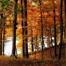 Serenity Inspiring Photography