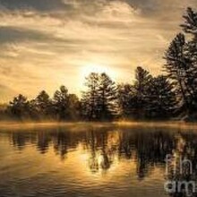 Shadows Silhouettes and Reflections Outdoors