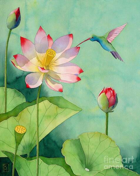 Hummingbird and Lotus Scene Wall Art
