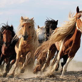 Lucky Six by Adam Wong