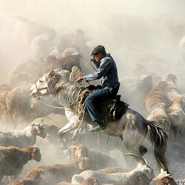 Migration by Adam Wong