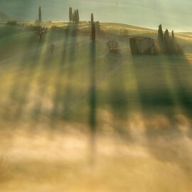 Mist by Krzysztof Browko