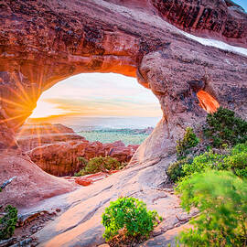 Morning Glory by Edgars Erglis