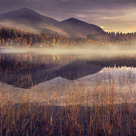 Morning in Adirondacks by Magda Bognar