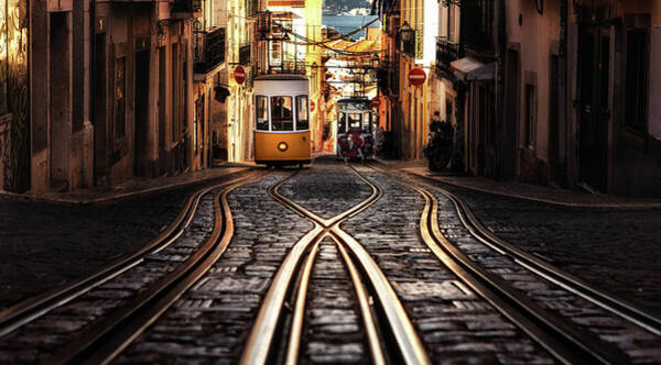 Tram on Historic Lisbon Street Wall Art