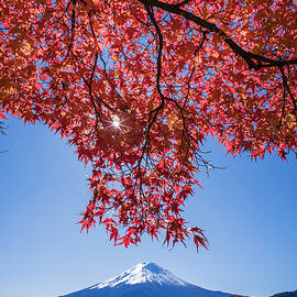Mt. Fuji In Lake Kawaguti by Takashi Suzuki