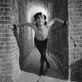 Murphy Cornered by Fin Costello