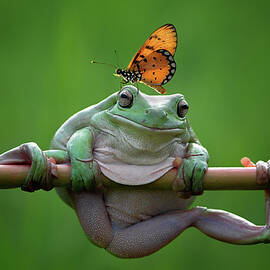 My Best Friend by Edy Pamungkas