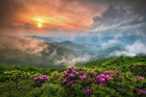 Mountain Sunrise with Blooming Flowers Wall Art