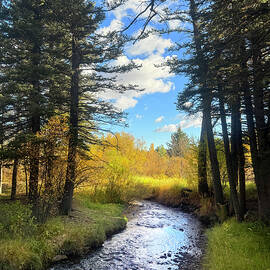 October Color - Cuchara