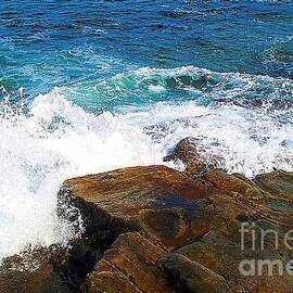 On Schoodic Peninsula