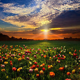 Once Upon A Time by Phil Koch