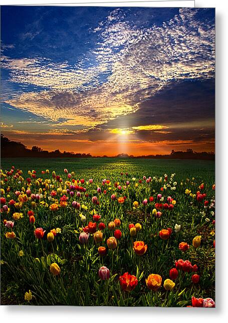 Once Upon A Time Greeting Card