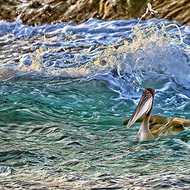 Out For A Morning Swim