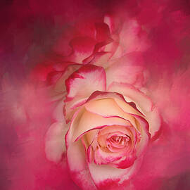 PAINTED FLAMENCO ROSE by Theresa Tahara