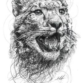 Leopard by Michael Volpicelli