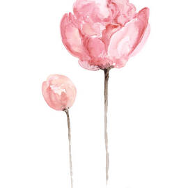 Pink peonies watercolor painting by Joanna Szmerdt