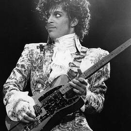Prince by DMI