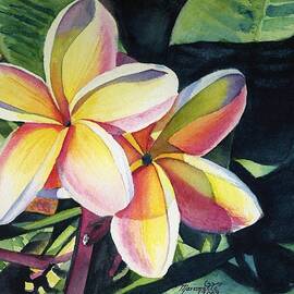 Rainbow Plumeria by Marionette Taboniar