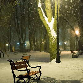 Red bench in the park by Jaroslaw Grudzinski