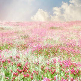 A Perfect World by Amy Tyler