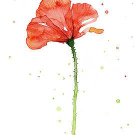 Red Poppy Flower by Olga Shvartsur
